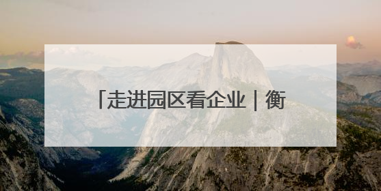 走进园区看企业｜衡阳蒸湘区：向“高”而攀 向“新”而行