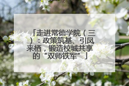 走进常德学院（三）：政策筑基、引凤来栖，锻造校城共享的“双师铁军”