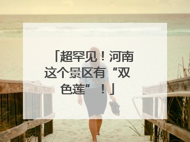 超罕见！河南这个景区有“双色莲”！