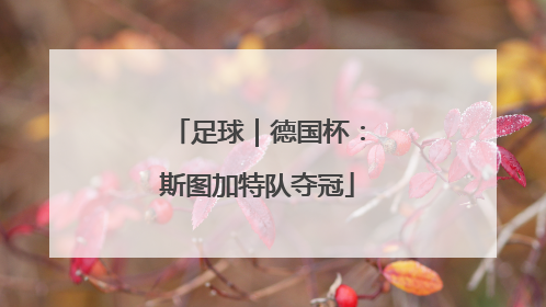 足球｜德国杯：斯图加特队夺冠
