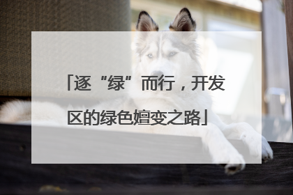 逐“绿”而行，开发区的绿色嬗变之路