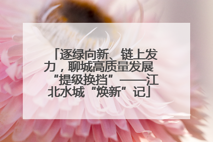 逐绿向新、链上发力，聊城高质量发展“提级换挡”——江北水城“焕新”记