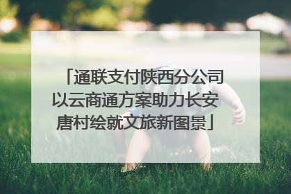 通联支付陕西分公司以云商通方案助力长安唐村绘就文旅新图景