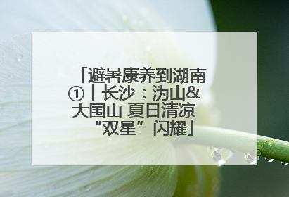 避暑康养到湖南①丨长沙：沩山&大围山 夏日清凉“双星”闪耀