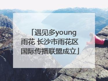 遇见多young雨花 长沙市雨花区国际传播联盟成立