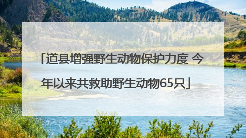 道县增强野生动物保护力度 今年以来共救助野生动物65只
