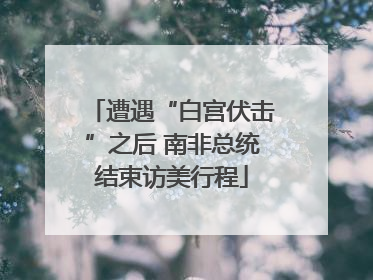 遭遇“白宫伏击”之后 南非总统结束访美行程