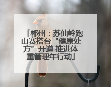 郴州：苏仙岭跑山赛搭台“健康处方”开道 推进体重管理年行动