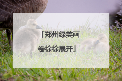 郑州绿美画卷徐徐展开