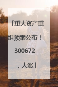 重大资产重组预案公布！300672，大涨