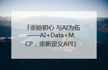 重拾初心 与AI为伍——AI+Data+MCP，重新定义API