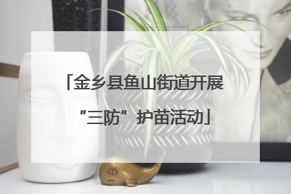 金乡县鱼山街道开展“三防”护苗活动