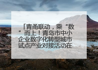 青甬联动，乘“数”而上！青岛市中小企业数字化转型城市试点产业对接活动在宁波开班