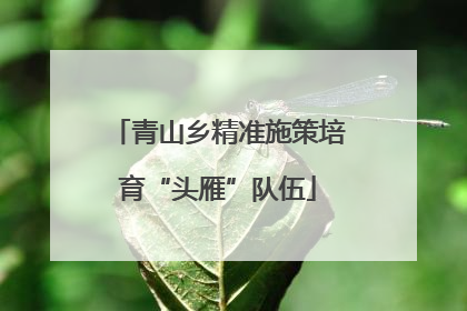 青山乡精准施策培育“头雁”队伍