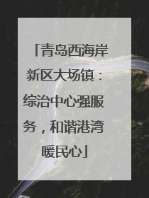 青岛西海岸新区大场镇：综治中心强服务，和谐港湾暖民心