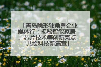 青岛隐形独角兽企业媒体行：揭秘智能家居、芯片技术等创新亮点 共绘科技新篇章