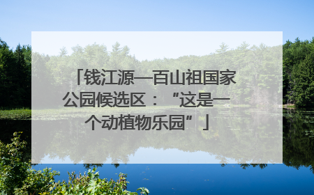 钱江源—百山祖国家公园候选区：“这是一个动植物乐园”