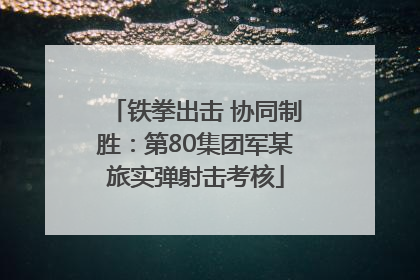 铁拳出击 协同制胜：第80集团军某旅实弹射击考核