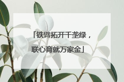 铁臂拓开千垄绿，联心育就万家金