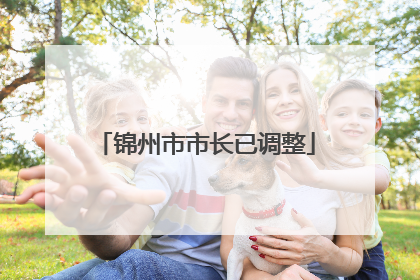 锦州市市长已调整