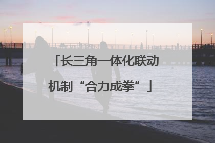 长三角一体化联动机制“合力成拳”