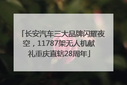 长安汽车三大品牌闪耀夜空，11787架无人机献礼重庆直辖28周年