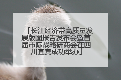 长江经济带高质量发展版图报告发布会暨首届市际战略研商会在四川宜宾成功举办