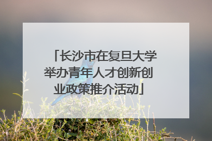 长沙市在复旦大学举办青年人才创新创业政策推介活动