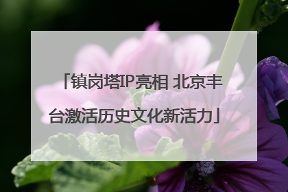 镇岗塔IP亮相 北京丰台激活历史文化新活力