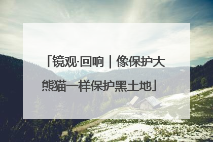 镜观·回响｜像保护大熊猫一样保护黑土地