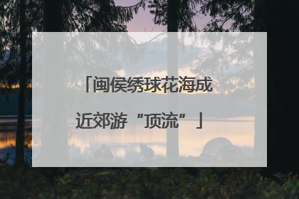 闽侯绣球花海成近郊游“顶流”