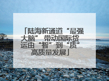 陆海新通道“最强大脑” 带动国际货运由“智”到“质”高质量发展