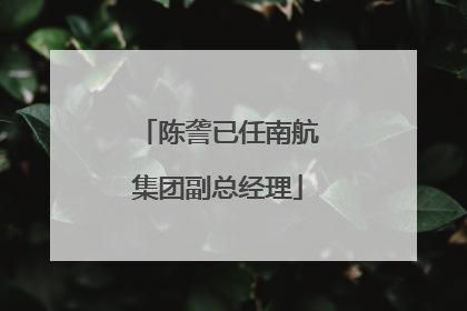 陈詟已任南航集团副总经理