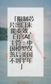 限制芯片出口未能奏效，白宫AI主管：中国模型仅落后美国不到半年