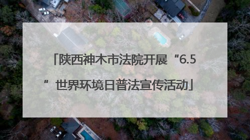 陕西神木市法院开展“6.5”世界环境日普法宣传活动