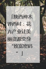 陕西神木铧西村：花卉产业让美丽资源变身“致富密码”
