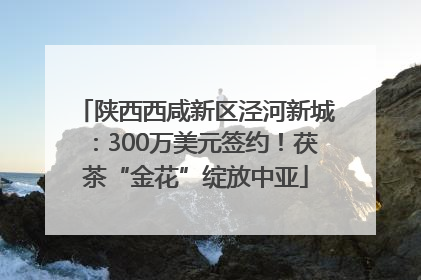 陕西西咸新区泾河新城：300万美元签约！茯茶“金花”绽放中亚