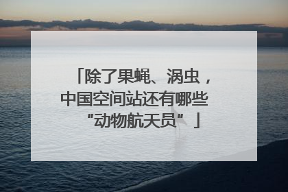 除了果蝇、涡虫，中国空间站还有哪些“动物航天员”
