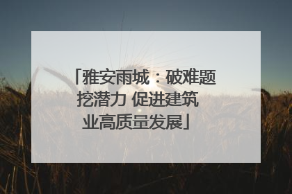 雅安雨城：破难题 挖潜力 促进建筑业高质量发展