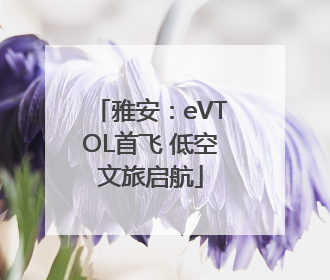 雅安：eVTOL首飞 低空文旅启航