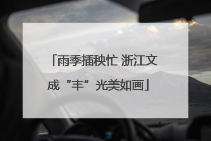 雨季插秧忙 浙江文成“丰”光美如画