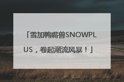 雪加鸭嘴兽SNOWPLUS，卷起潮流风暴！