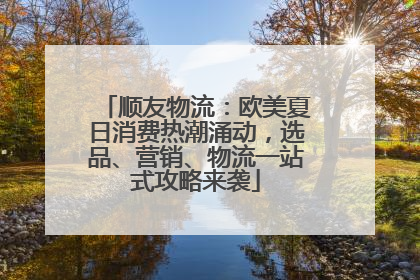 顺友物流：欧美夏日消费热潮涌动，选品、营销、物流一站式攻略来袭