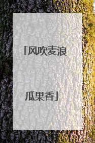 风吹麦浪 瓜果香