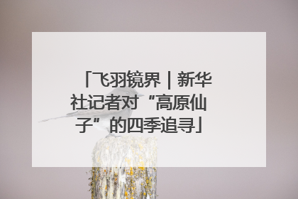 飞羽镜界|新华社记者对“高原仙子”的四季追寻