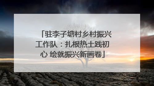 驻李子塘村乡村振兴工作队：扎根热土践初心 绘就振兴新画卷