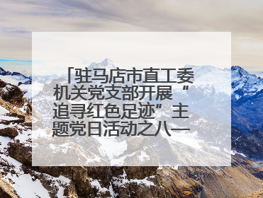 驻马店市直工委机关党支部开展“追寻红色足迹”主题党日活动之八——鏖战独树镇