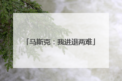 马斯克：我进退两难