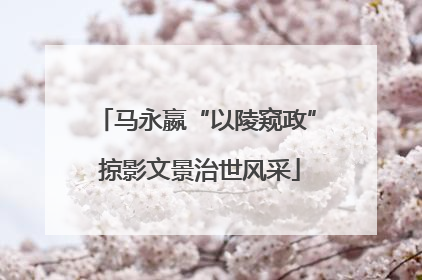 马永嬴“以陵窥政” 掠影文景治世风采