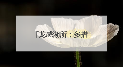 龙感湖所；多措并举，筑牢汛期“安全防线”
